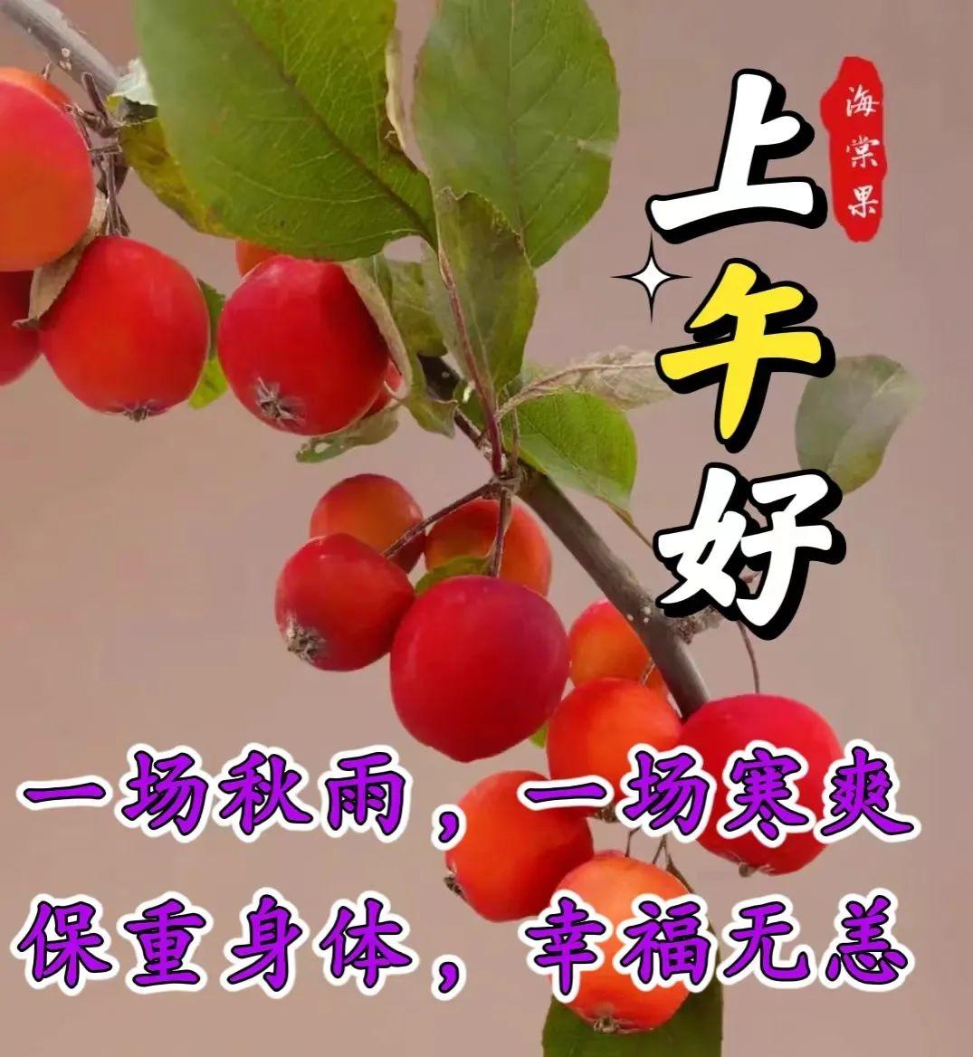 洛阳工程机械协会的职责 第340页