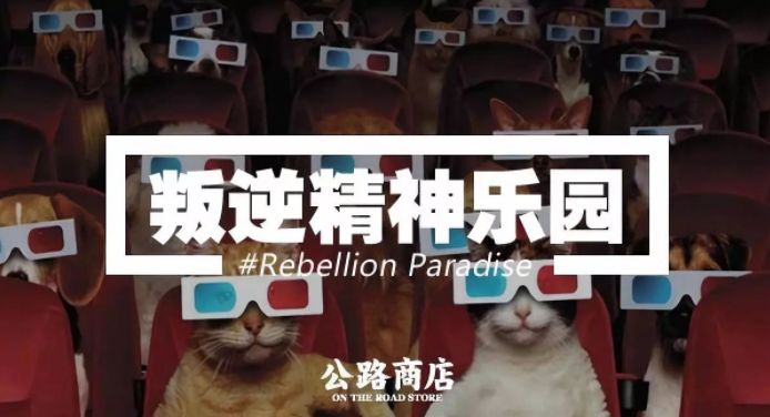 探索神秘宝藏，最新毛骗网站与小巷小店之旅