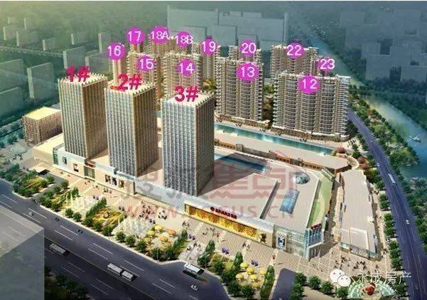 柯桥光明澜山最新动态，小巷特色小店独特魅力揭秘