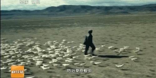 洛阳工程机械协会的职责 第266页