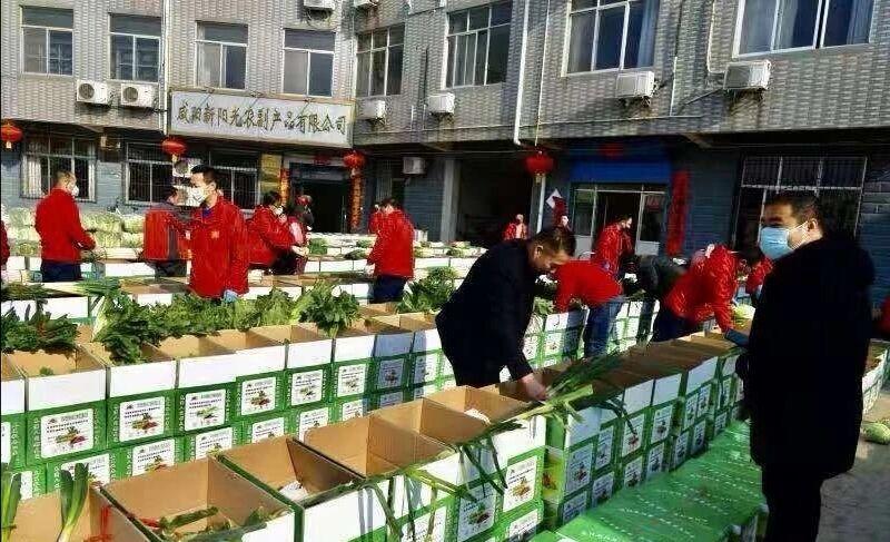洛阳工程机械协会的职责 第232页