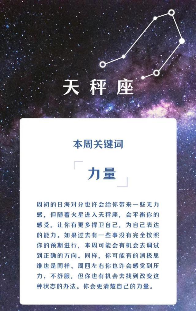 工程机械设备价格 第169页