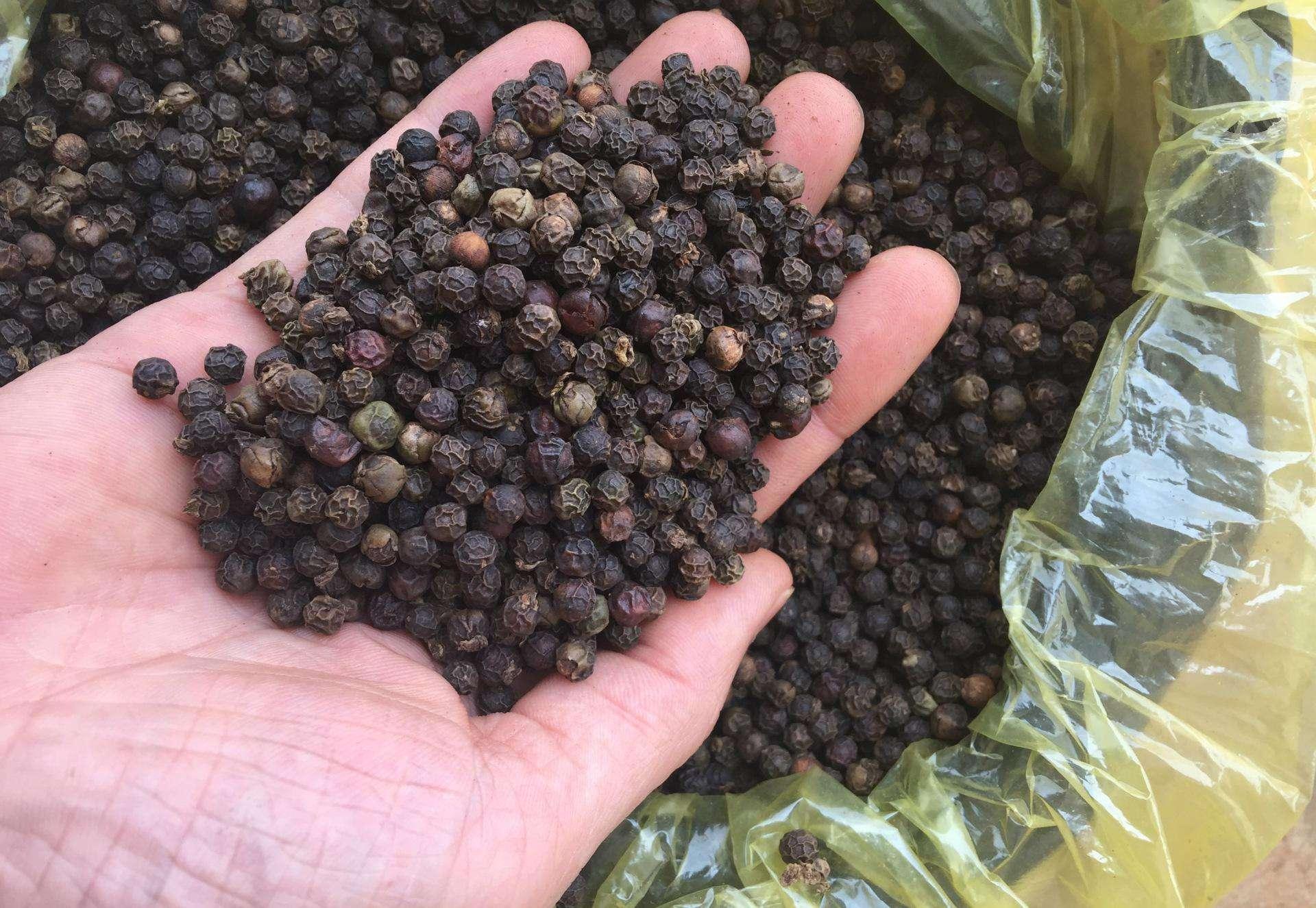 洛阳工程机械协会的职责 第62页